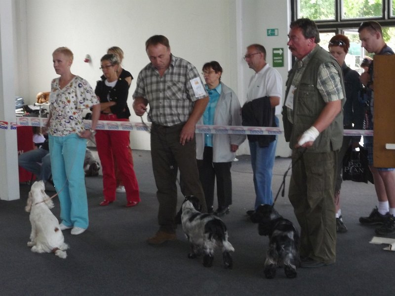 Litomerice 2009 040.jpg